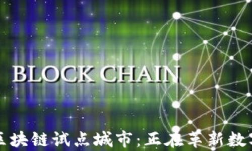 
深入探讨欧盟区块链试点城市：正在革新数字经济的新前沿