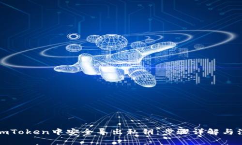 如何在imToken中安全导出私钥：步骤详解与注意事项