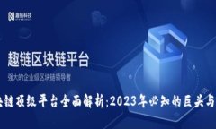 区块链顶级平台全面解析：2023年必知的巨头与新