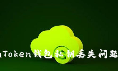 如何处理imToken钱包私钥丢失问题的全面指南
