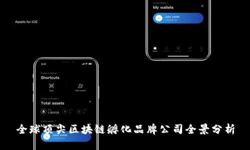 全球顶尖区块链孵化品牌公司全景分析