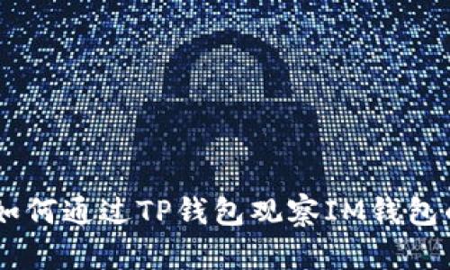 : 全面解析：如何通过TP钱包观察IM钱包的动态与数据