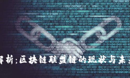 全面解析：区块链联盟链的现状与未来发展