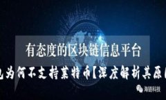 ImToken钱包为何不支持莱特币？深度解析其原因与
