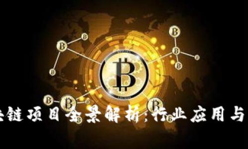 嘉善区块链项目全景解析：行业应用与未来展望