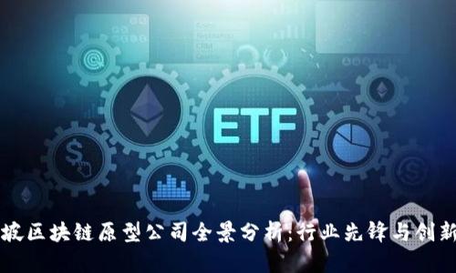 新加坡区块链原型公司全景分析：行业先锋与创新动态