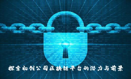 探索初创公司区块链平台的潜力与前景