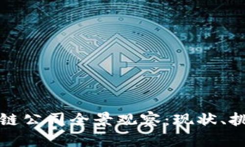 海南区块链公司全景观察：现状、挑战与前景