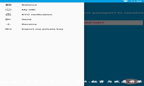 深圳区块链平台公司大全：创新、投资与发展前景解析