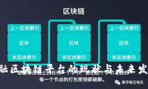 深入探讨金融区块链平台的现状与未来发展：全面指南