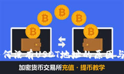 IM钱包为何没有USDT地址的原因与解决方案