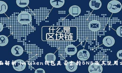 全面解析：imToken钱包是否支持BNB及其使用方法