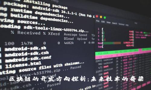 区块链的开发方向探析：未来技术的脊梁