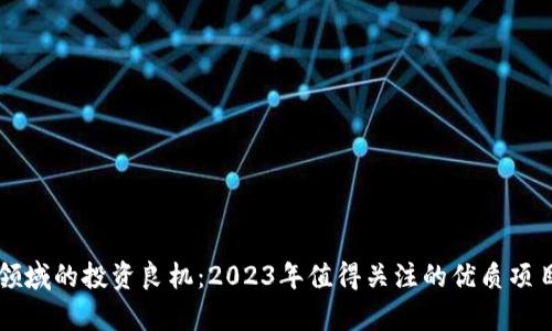 区块链领域的投资良机：2023年值得关注的优质项目全解析