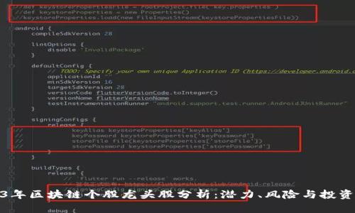 2023年区块链个股龙头股分析：潜力、风险与投资战略